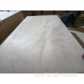 12cm 15cm 18cm 20cm full core poplar eucalyptus waterproof laminate